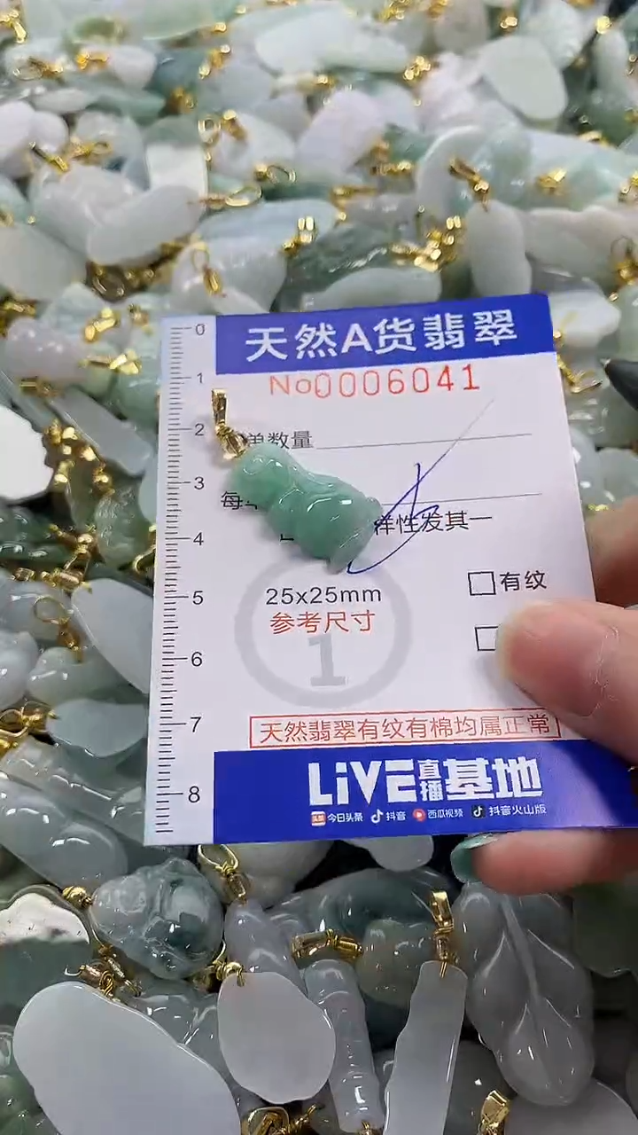 颈饰未镶嵌翡翠纯天然a货翡翠