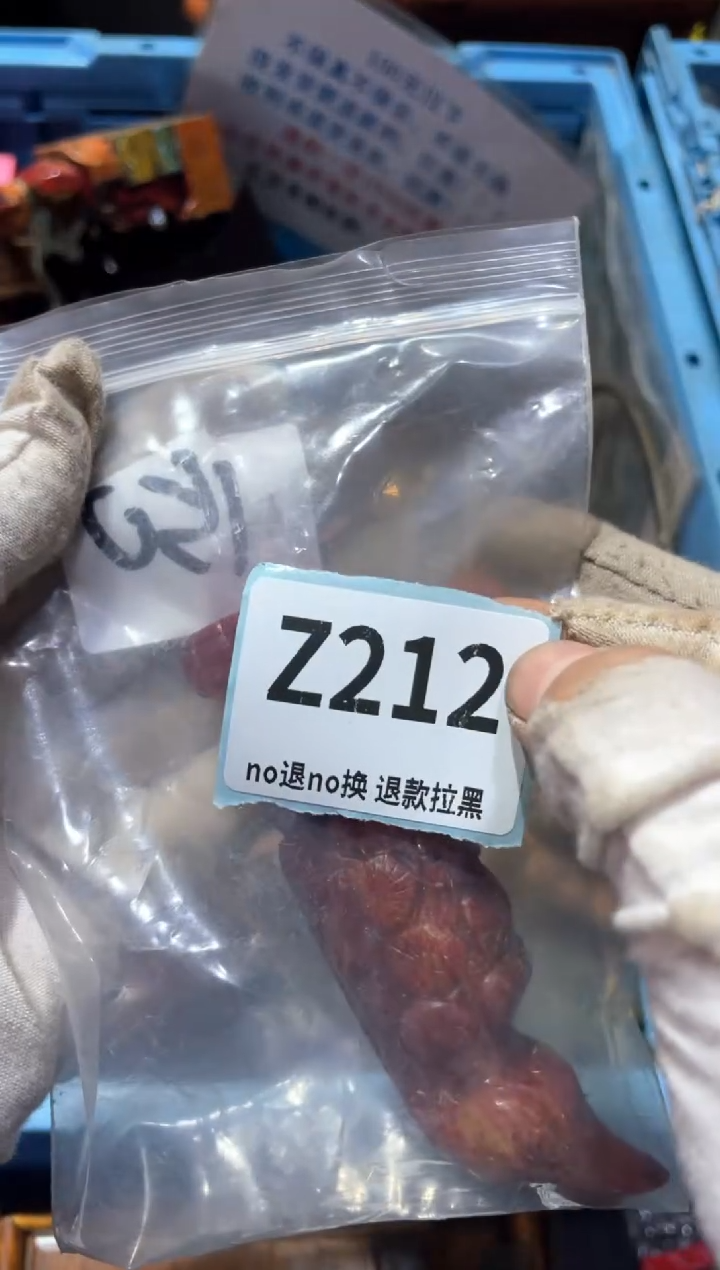 瓷片用****6东轩直播链接火爆火爆