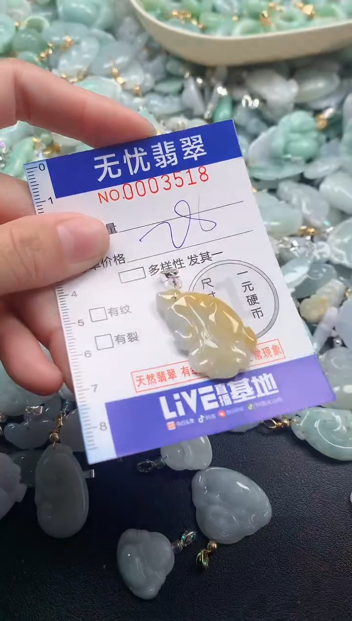 颈饰未镶嵌翡翠3518