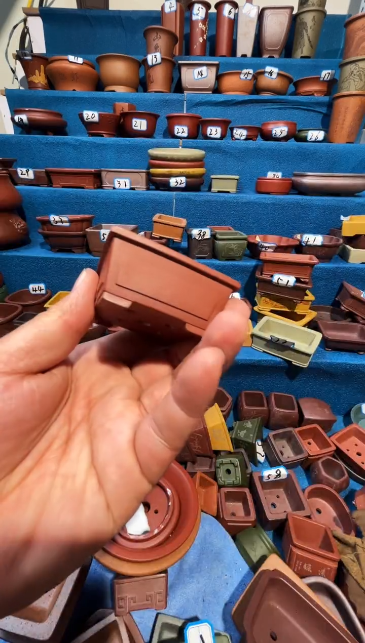 【闪购商品】紫砂紫砂花盆6*5*2