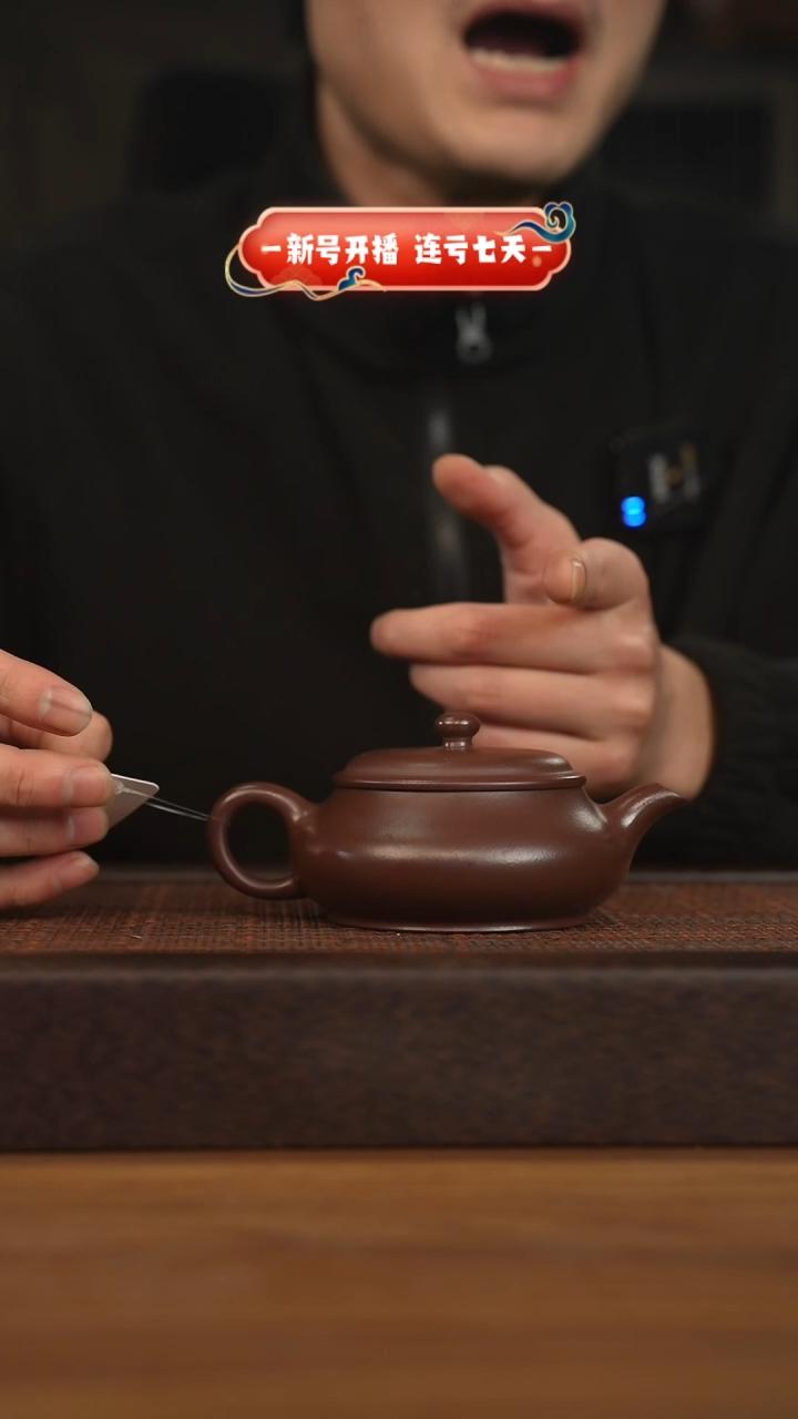 【闪购商品】紫砂茶壶宜兴原矿紫砂壶H11005