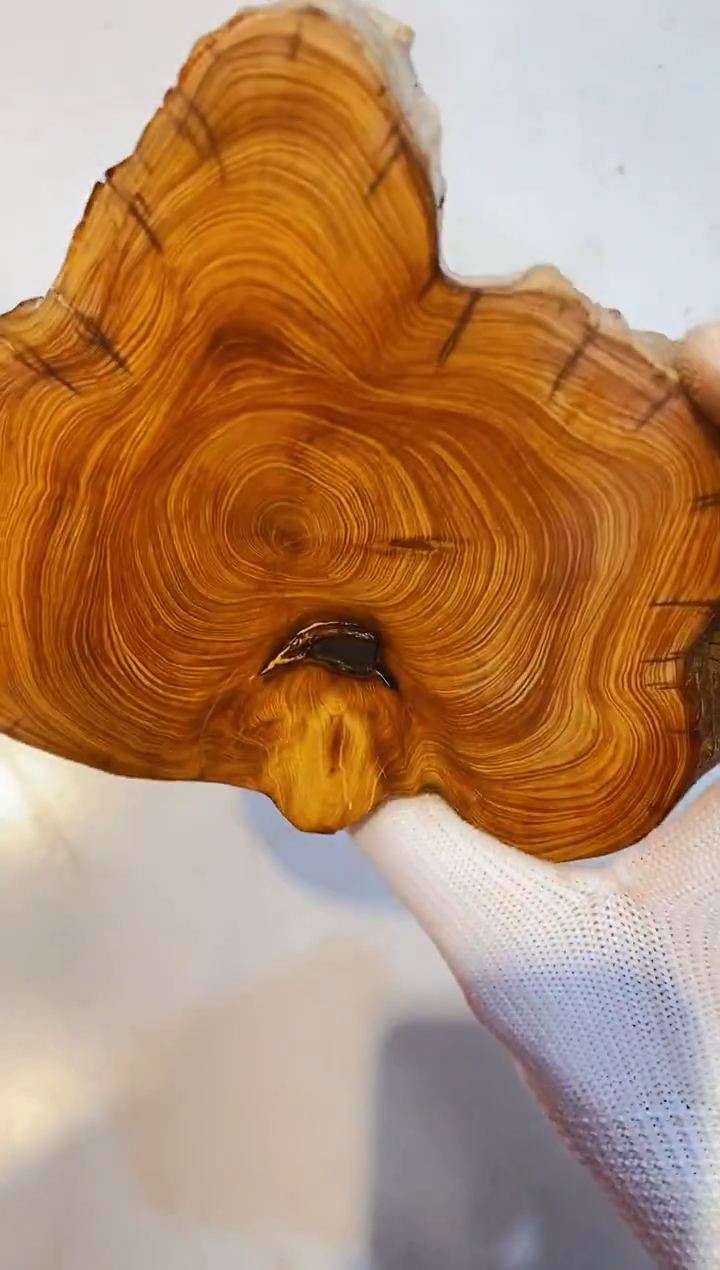 柏木（崖柏）50北太行崖柏手把件手串