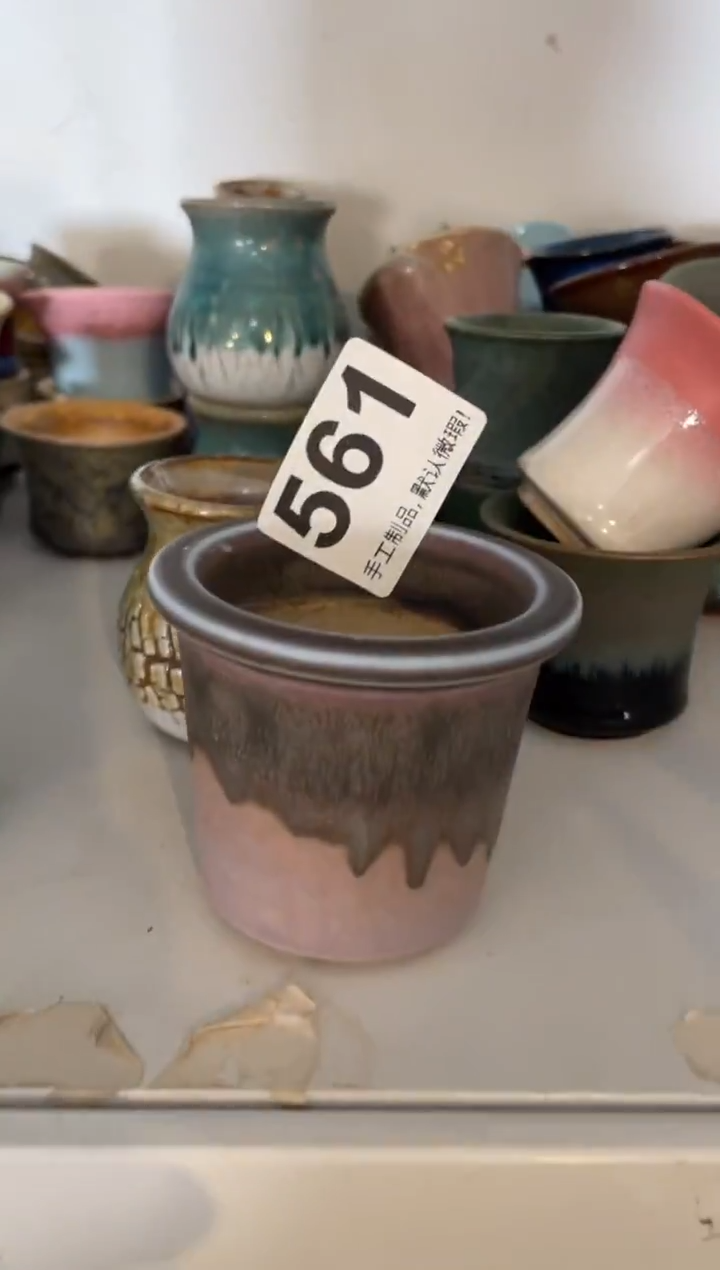 瓷片旺***星561小芳直播编号