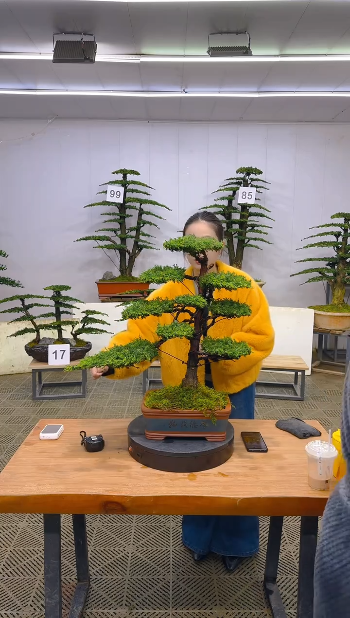 无花朵一物一拍一物一拍