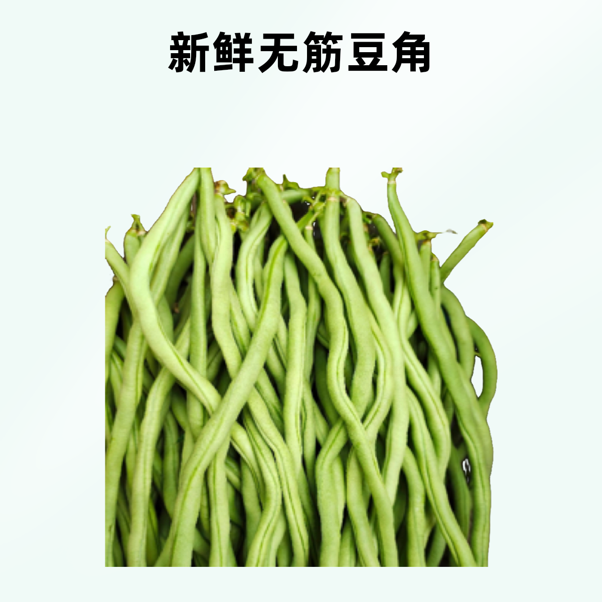 芸豆 （公斤）
