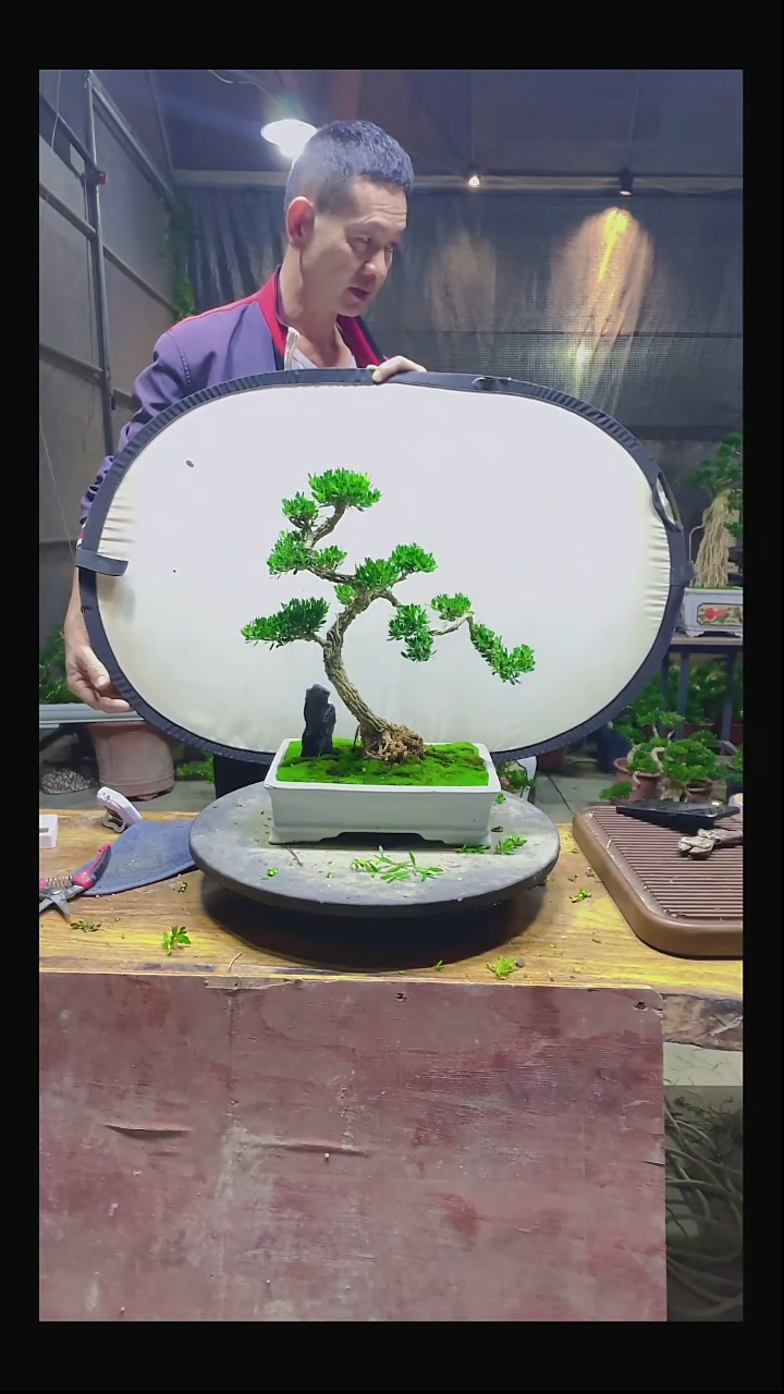 完全开放S*e1111111111