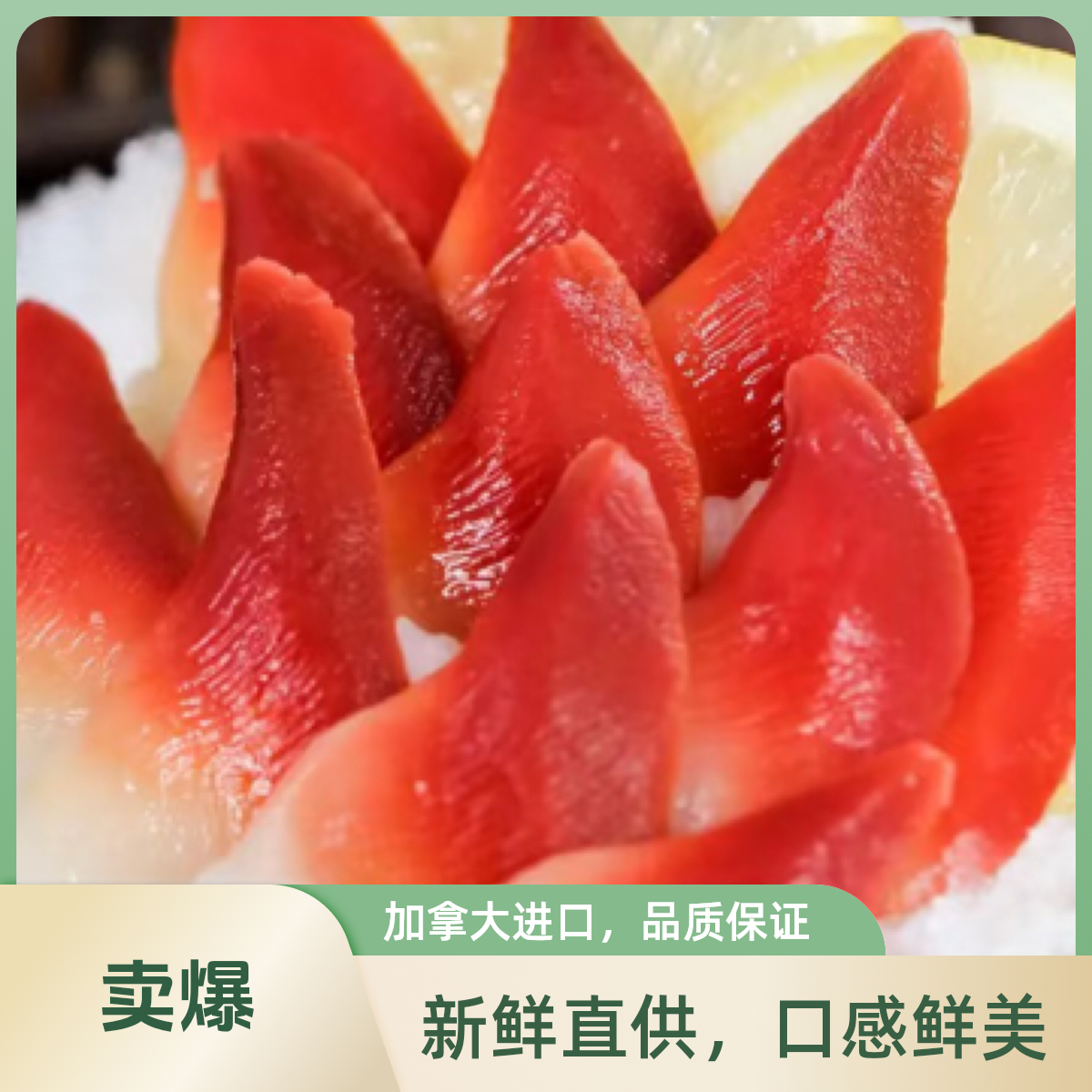 S加拿大北极贝15片(冻品)约50克