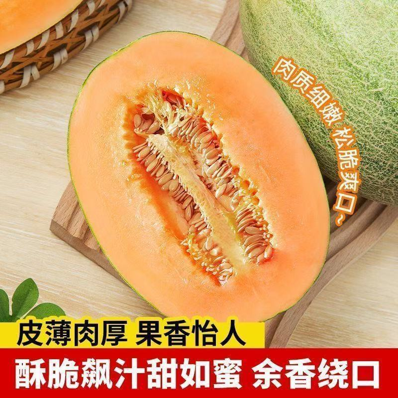 Y沙漠西州蜜哈密瓜晓蜜25号带箱9-10斤 精品大瓜2-3个
