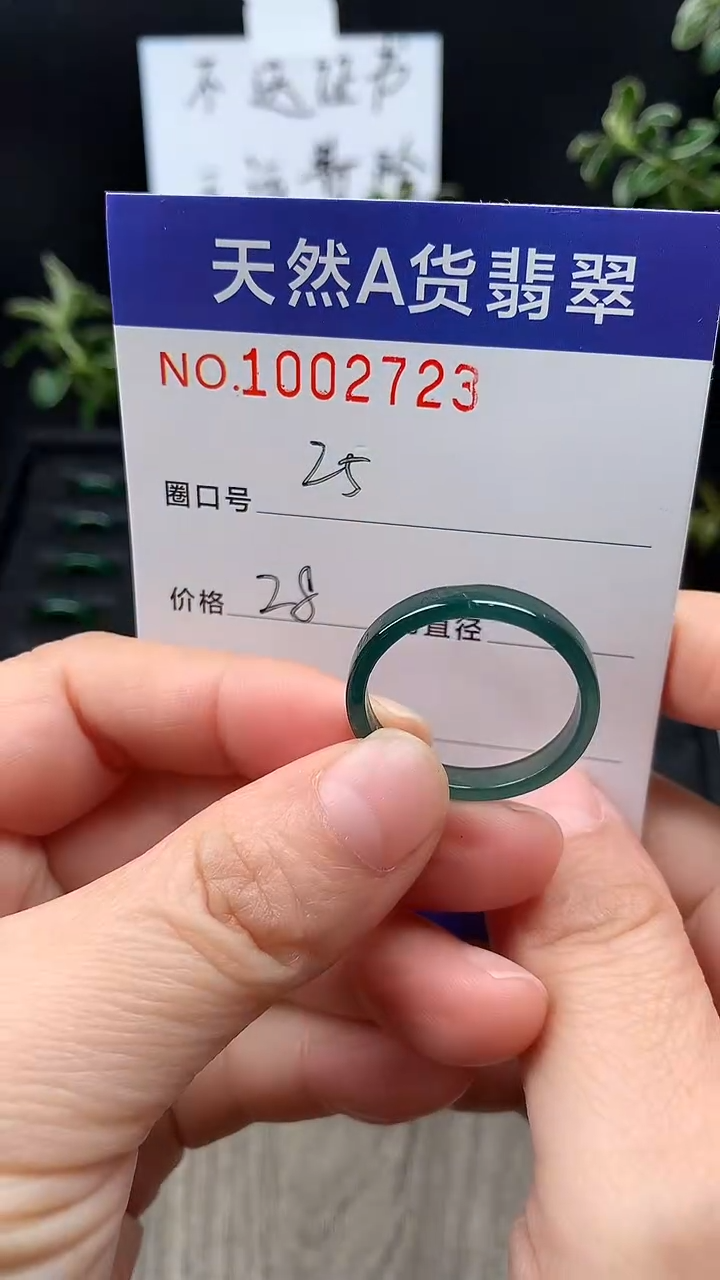 未镶嵌戒指翡翠25#
