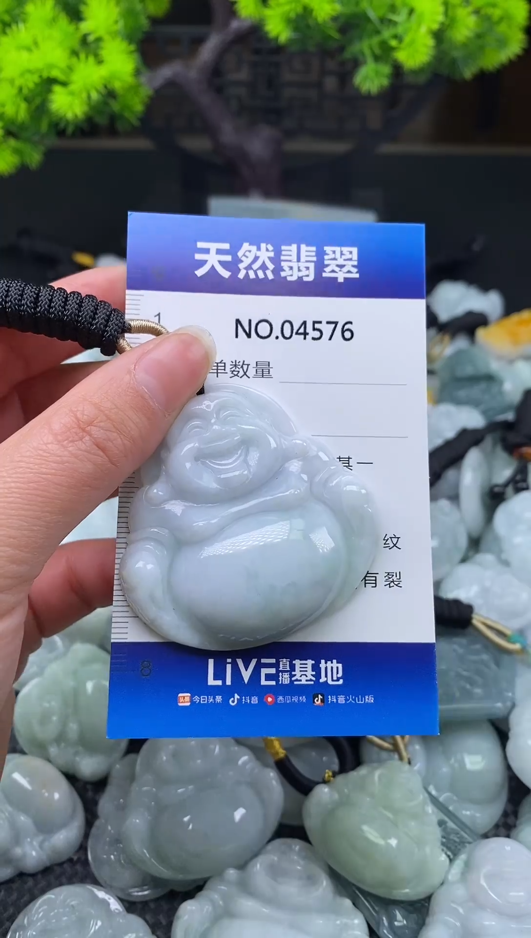 未镶嵌挂件翡翠天然缅甸翡翠4576