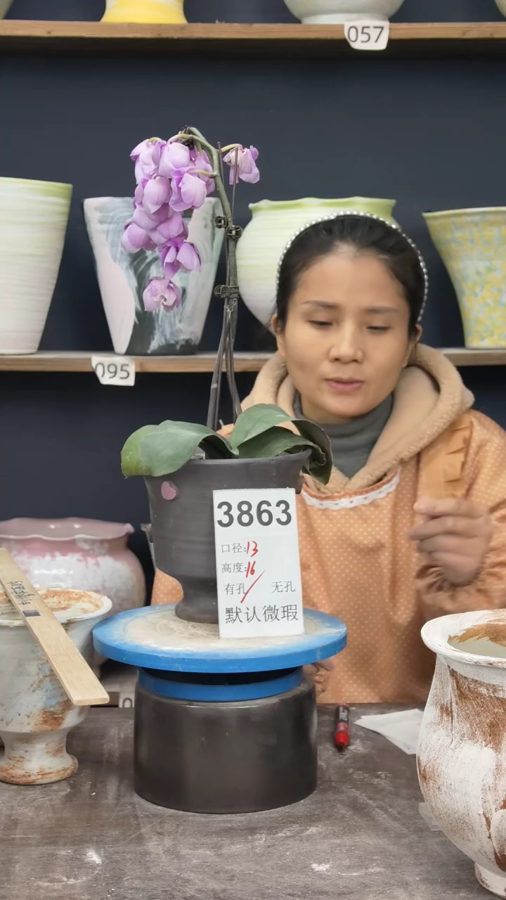景德镇花盆默认微瑕3863
