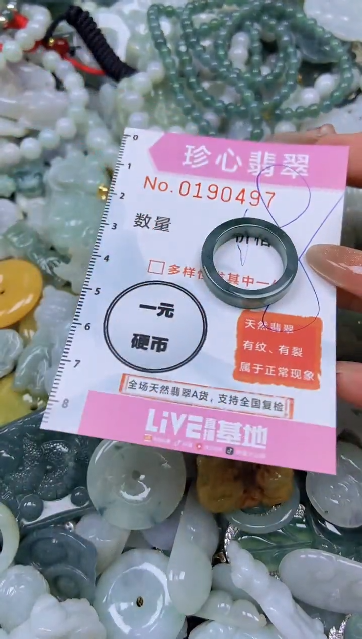 翡翠未镶嵌颈饰闪购链接0190497