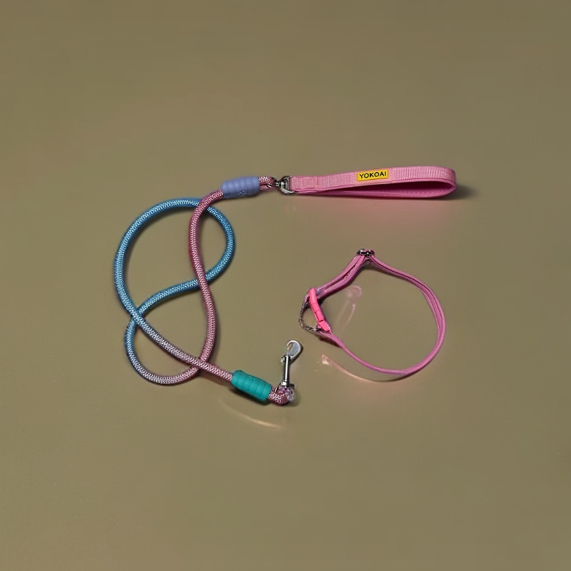 渐变色宠物项圈牵引绳中大型犬专用遛狗绳脖圈款狗绳可调节转环