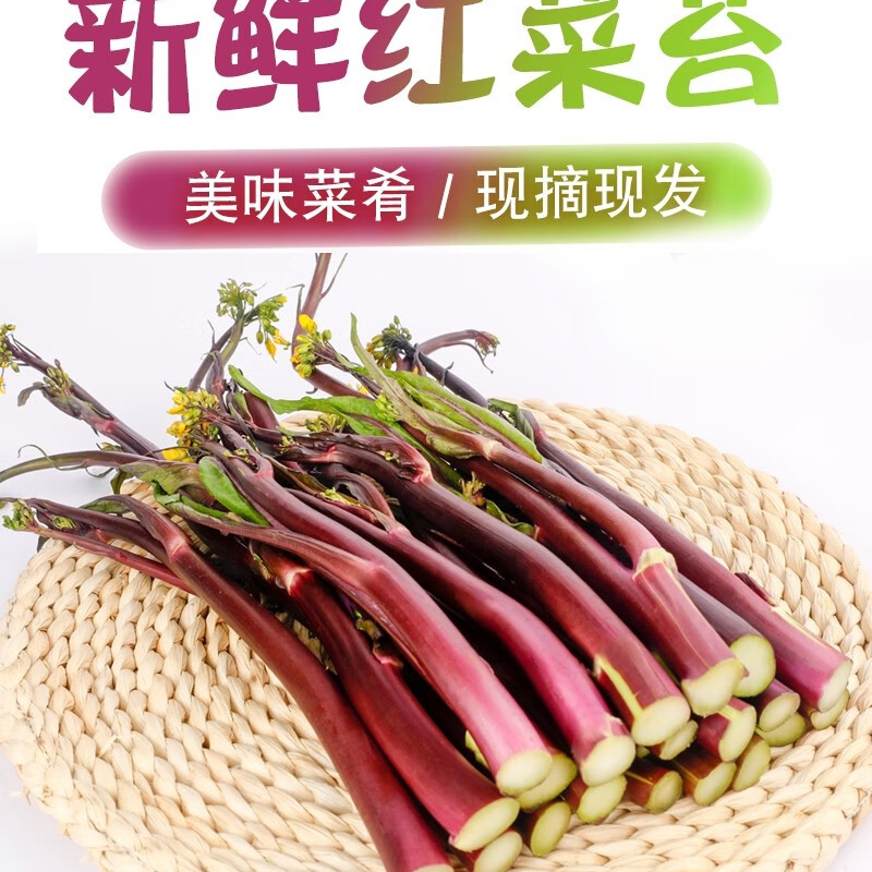 湖北新鲜红菜苔1/2/3/4斤农家种植现摘现发包邮