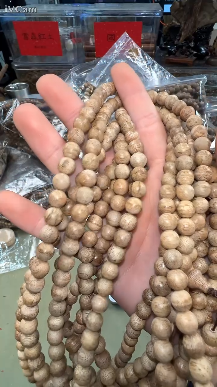 加里曼丹8mm念珠多样性发其一