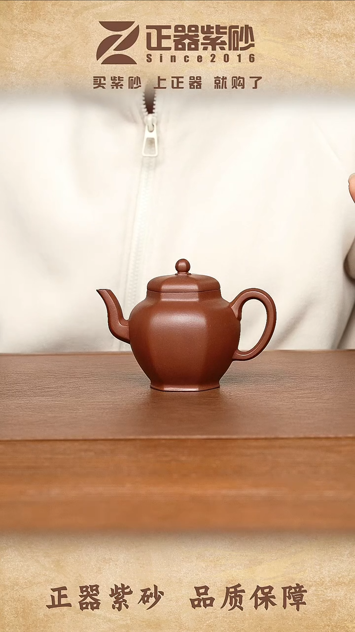 茶壶紫砂张涛 春风晓 底槽清205cc内推