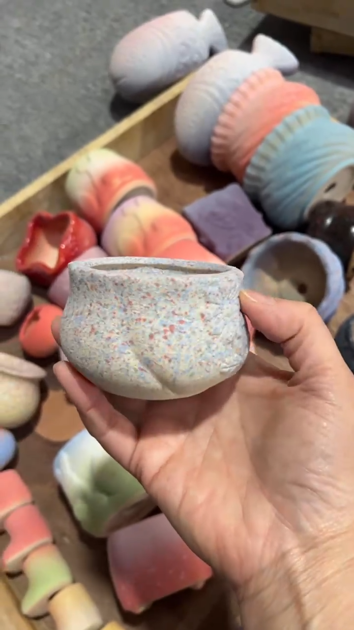 【闪购商品】红陶6*5