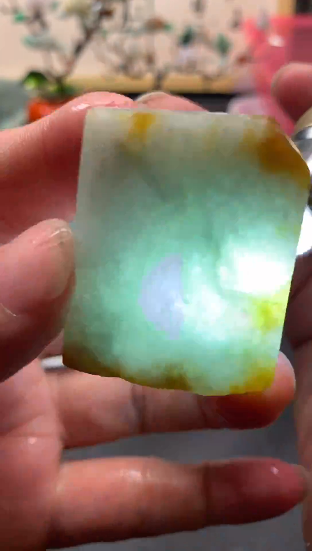 【闪购商品】翡翠颈饰未镶嵌天然翡翠A货