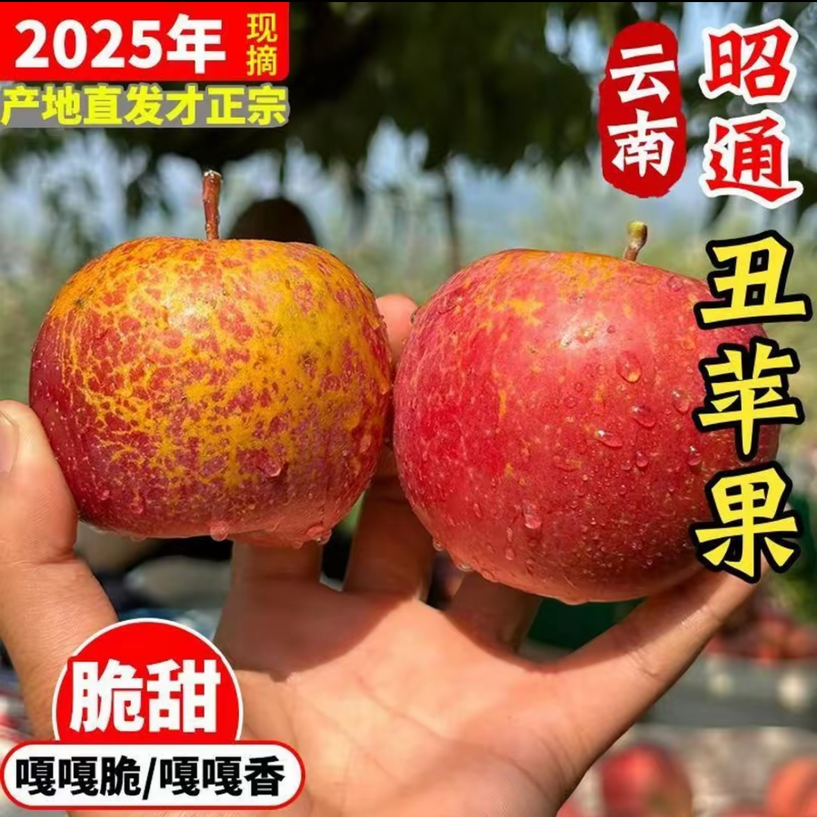 正宗云南昭通冰糖心丑苹果新鲜脆甜多汁水果