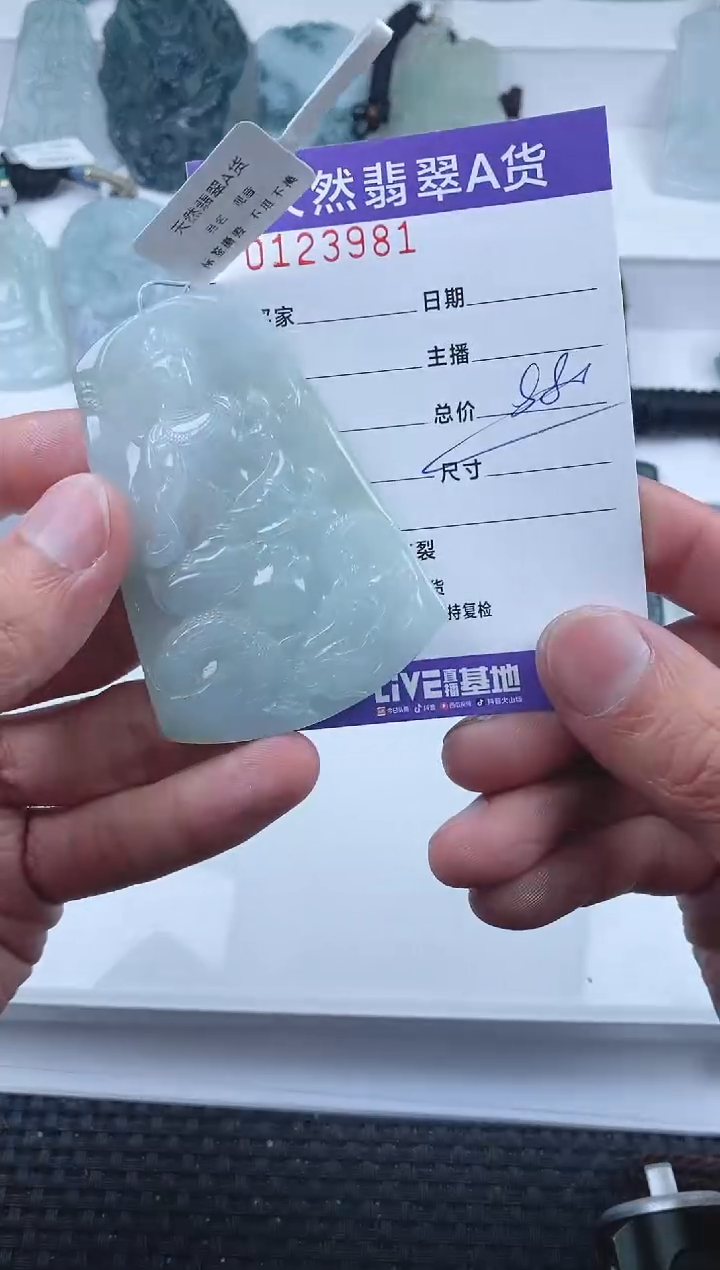 【闪购商品】翡翠颈饰未镶嵌         981