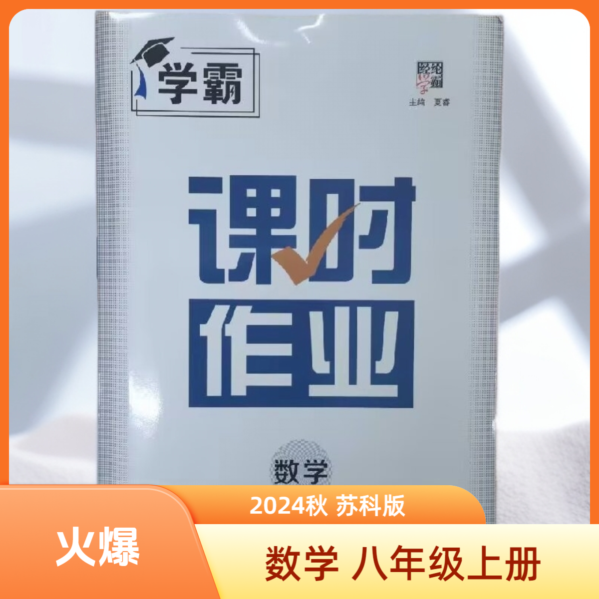 2024秋季经纶学霸初中初二8八年级学霸课时作业数学上册苏科版SK