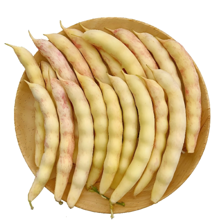 东北小园黄金勾豆角0