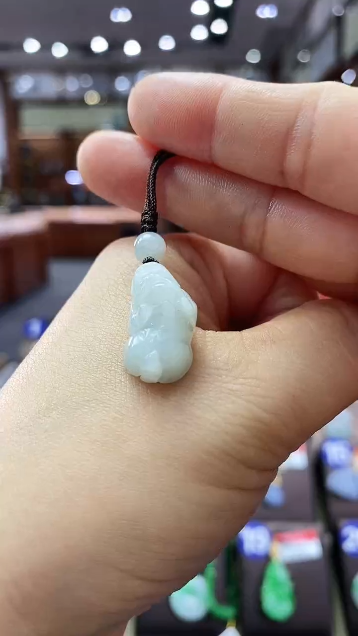 翡翠未镶嵌颈饰貔貅