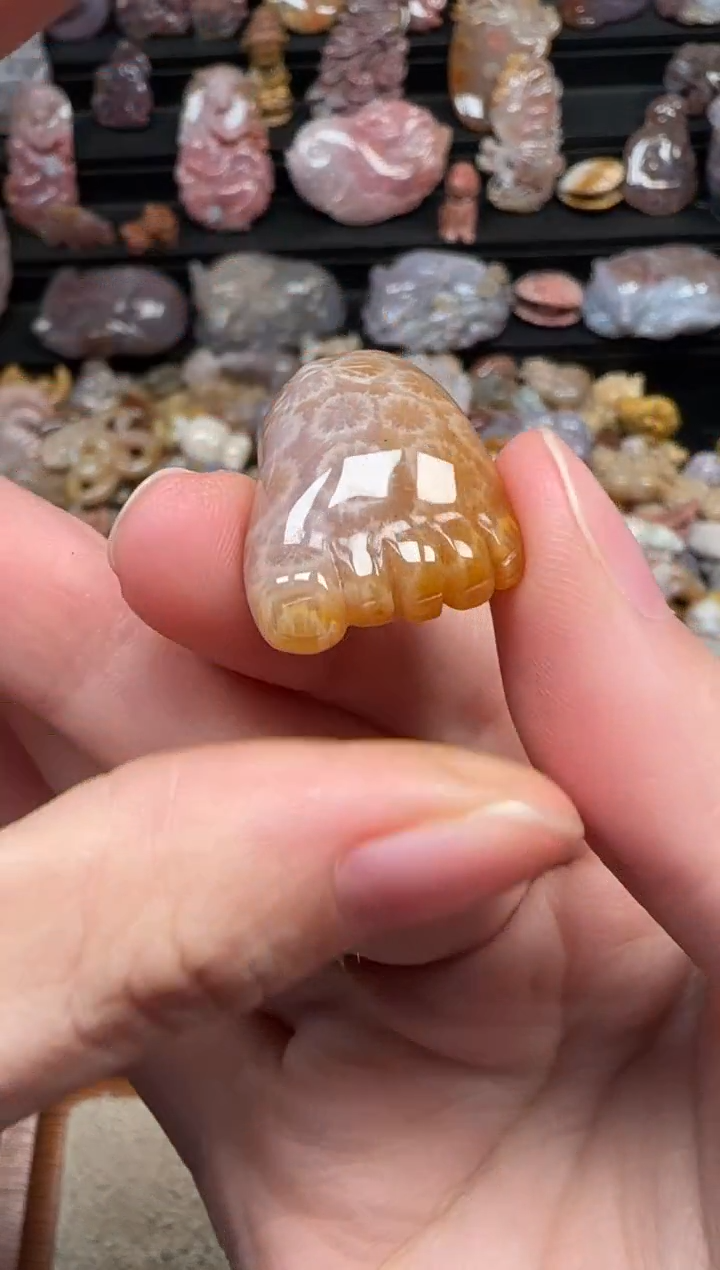 颈饰未镶嵌硅化珊瑚（珊瑚玉）205