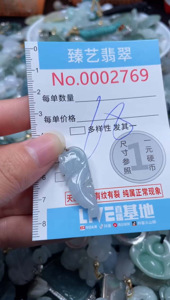 颈饰未镶嵌翡翠2769