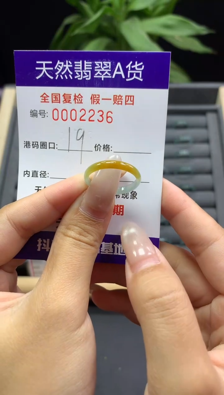 未镶嵌戒指翡翠天然  2236