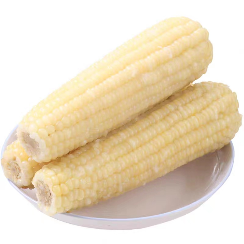 白糯玉米（蒸煮食用）约200g/根白糯玉米江苏省
