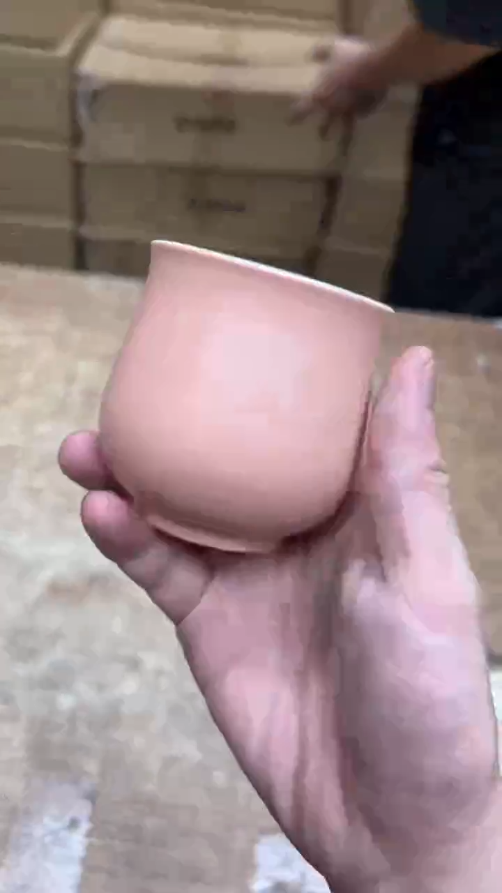 其他其他其他其他（不带礼盒）