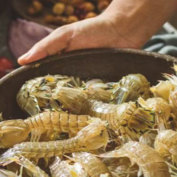 D虾爬公母随机4斤 起【到货2小时内售后】上汽3分钟【保鲜不保活】