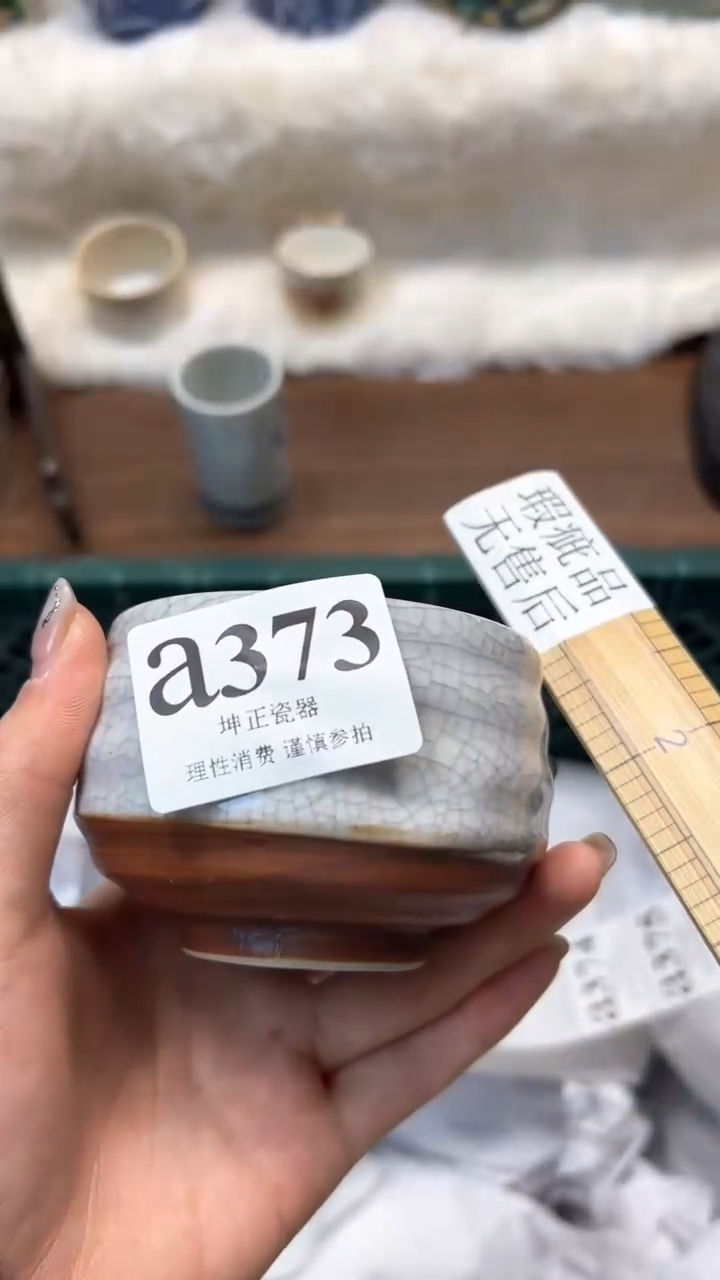 【闪购商品】瓷片          a373