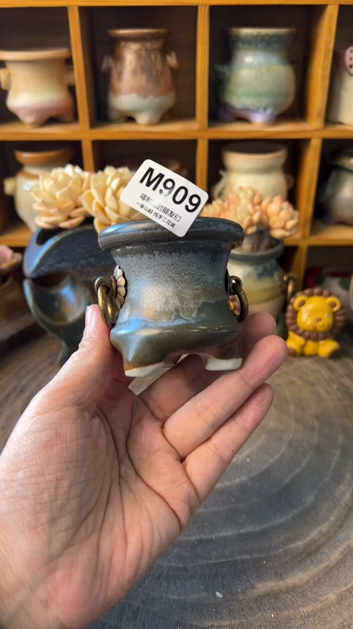 璎**芳909【多肉花盆多肉盆】