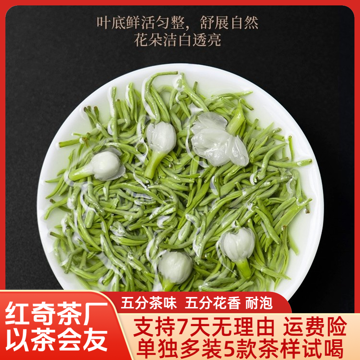 <全芽飘雪>茉莉花新茶碧螺春飘雪独芽蒙顶飘雪正宗四川蒙顶山茶叶