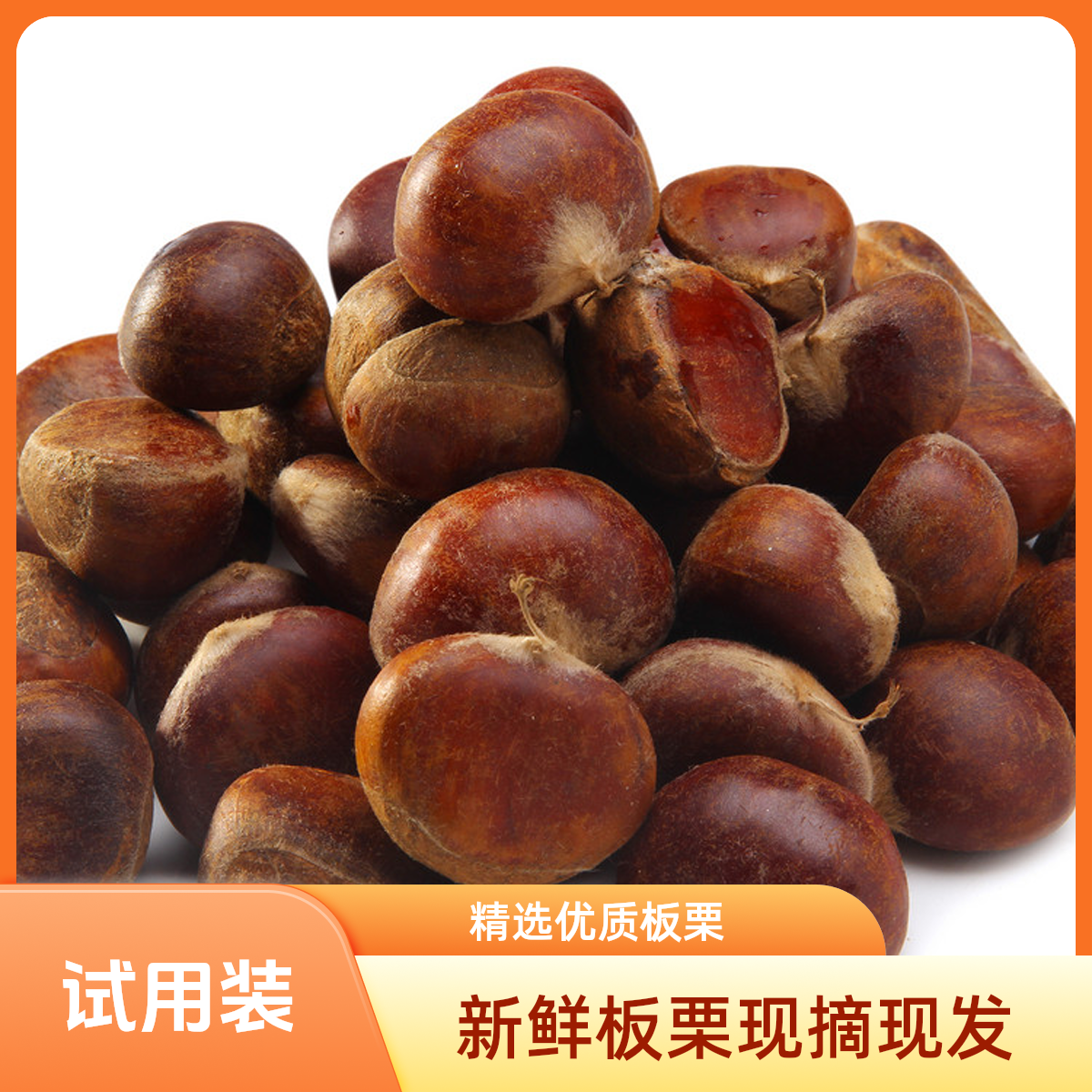 云南板栗栗子炒货批发适用装云南板栗