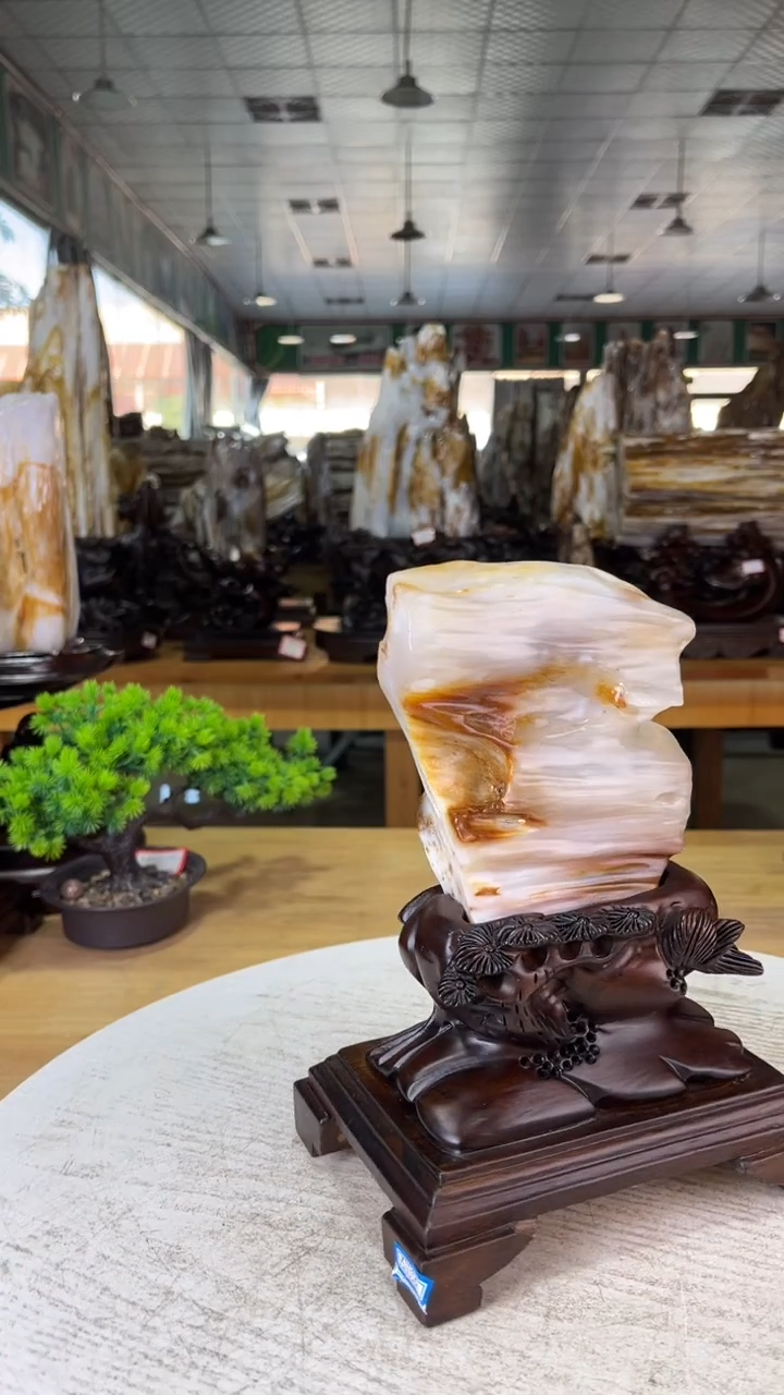 未镶嵌珠宝奇石硅化玉288