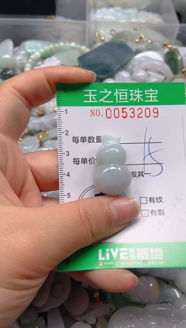 【闪购商品】翡翠颈饰未镶嵌闪购0053209