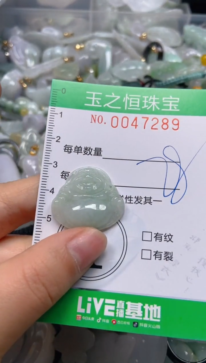 【闪购商品】翡翠颈饰未镶嵌闪购0047289