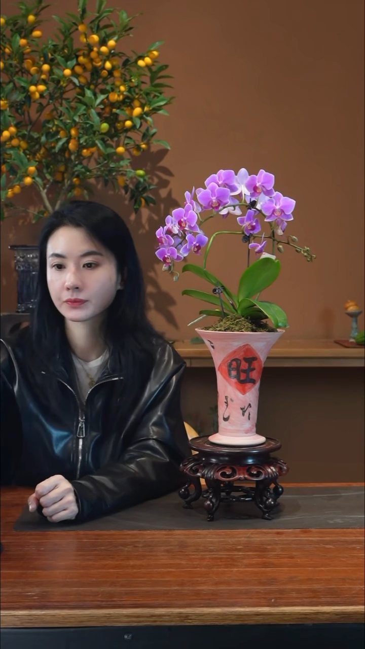 全部花朵粉珠帘旺旺盆