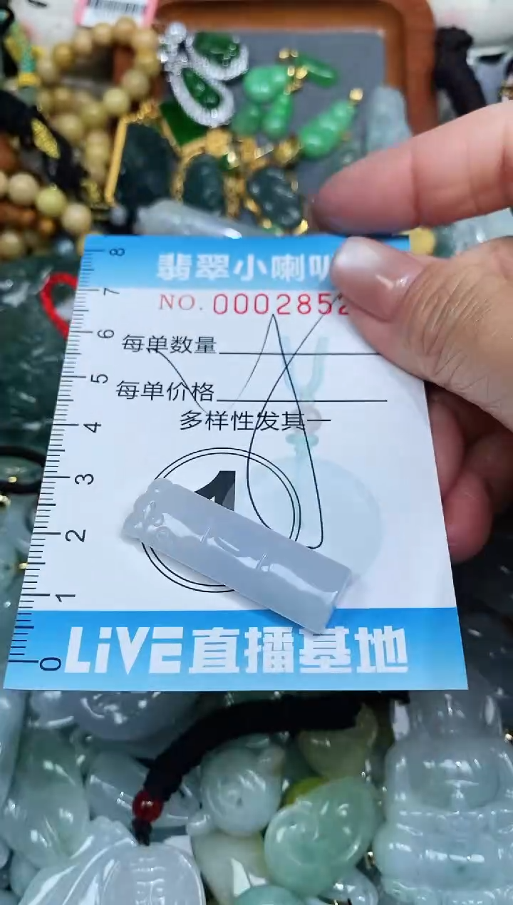 【闪购商品】翡翠颈饰未镶嵌闪购0002852