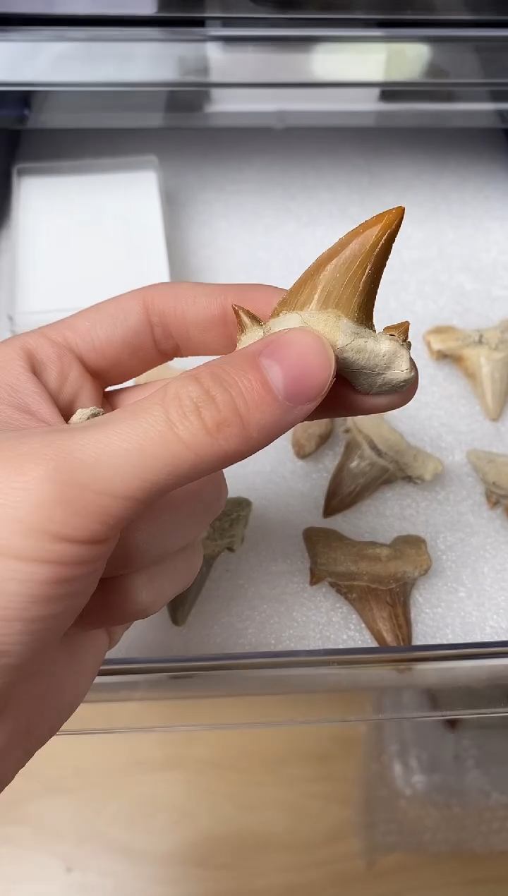 精美摆件创意礼物家居配饰新年礼物个人收藏