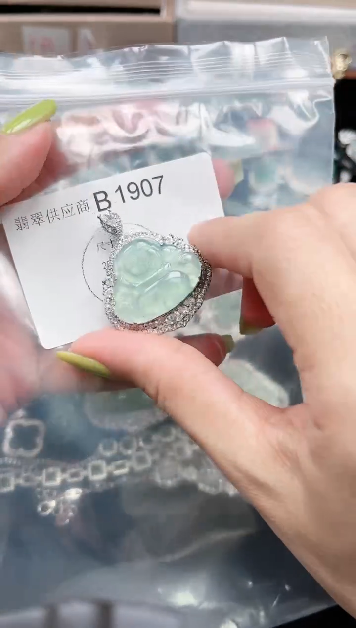 【闪购商品】翡翠颈饰未镶嵌1907赠皮绳