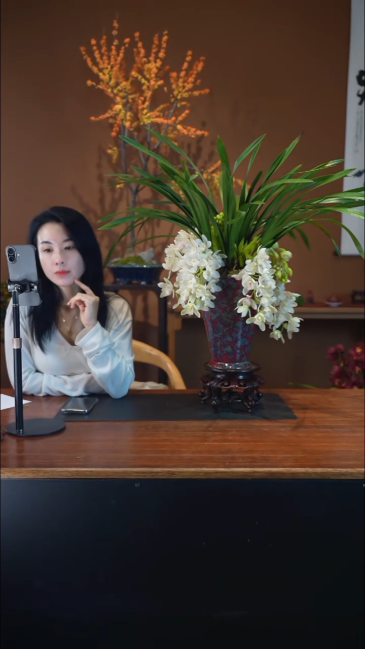 全部花朵冰瀑盆景盆景盆景