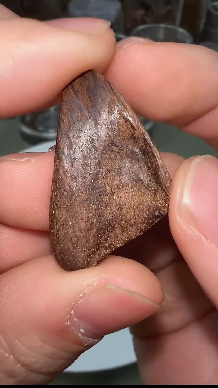 【闪购商品】沉香1.2g柬埔寨沉水原料