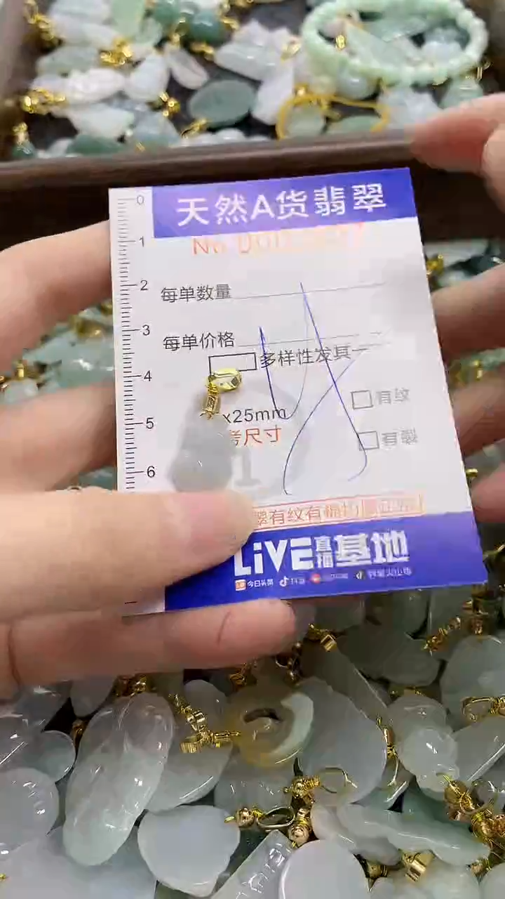 颈饰未镶嵌翡翠天然A货翡翠