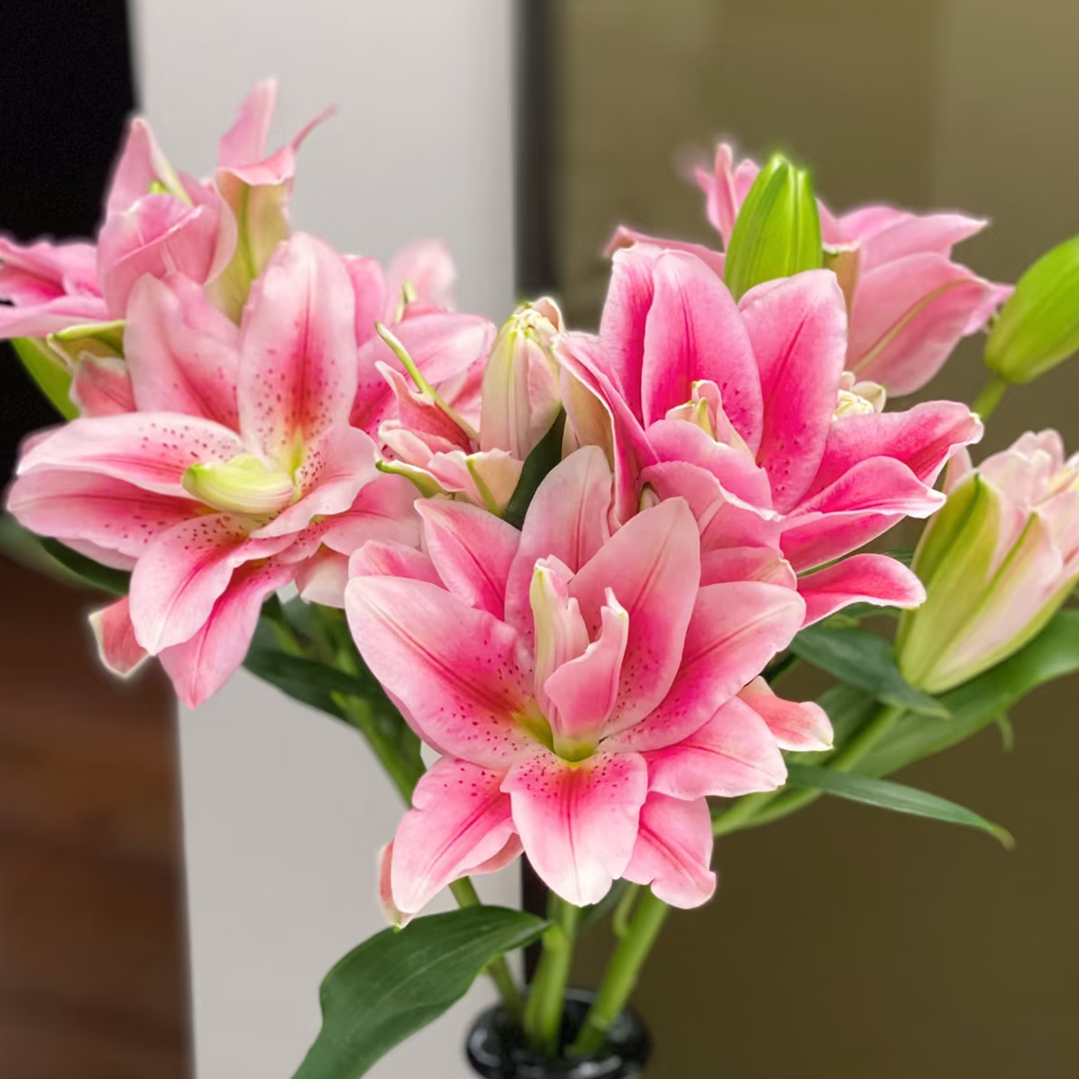 【大小王】蝶舞红尘 粉色重瓣 两单顺丰冷链 一单普通快递20%不售后