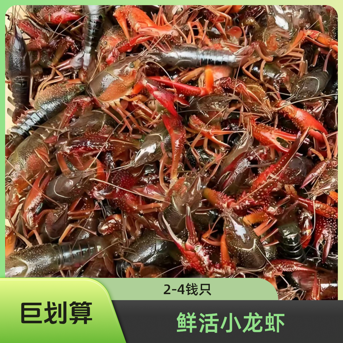 【鲜活】小龙虾小号（2-4单钱/只）一公斤（运输过程中会存在有部分嘎掉的情况）