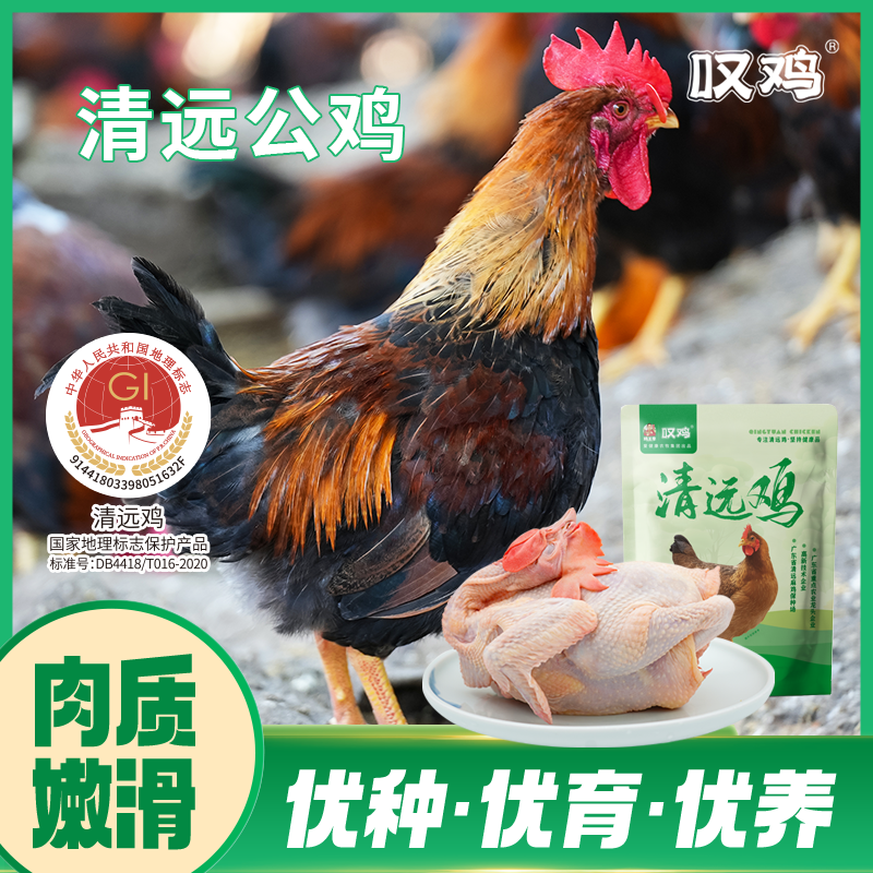 【叹鸡】清远公鸡900g*2只正宗广东清远鸡童子鸡山林散养达人
